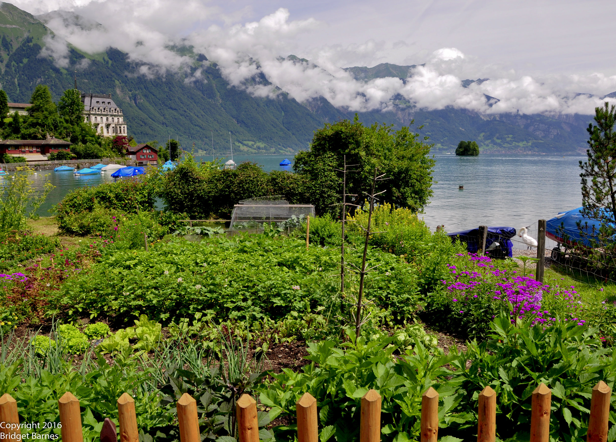 Gardening with a view in Iseltwald