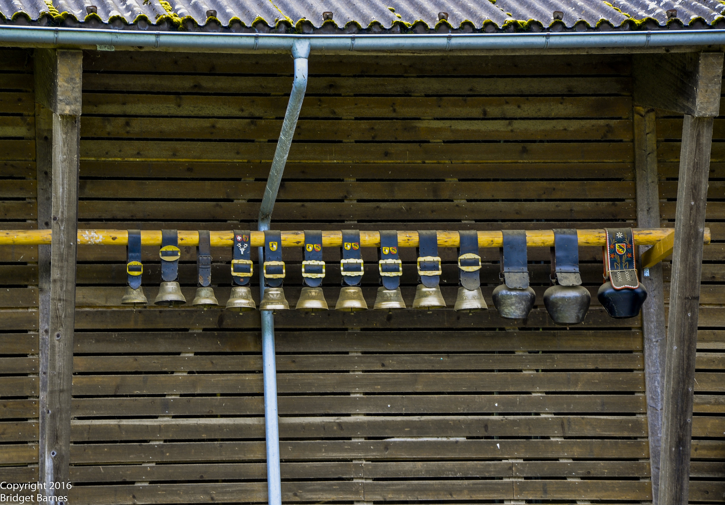 Cowbells!