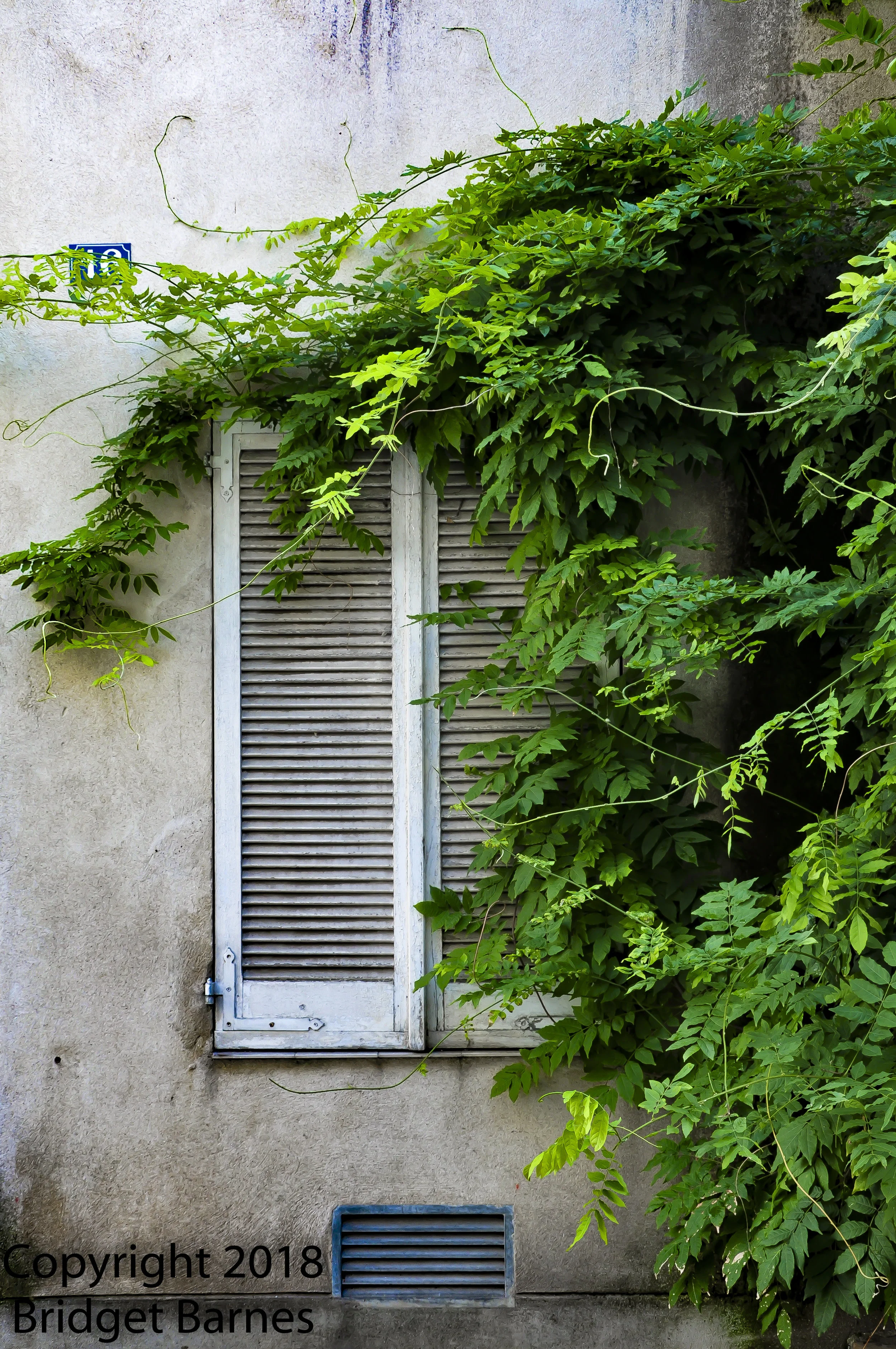 Thermo1Window-0432.jpg