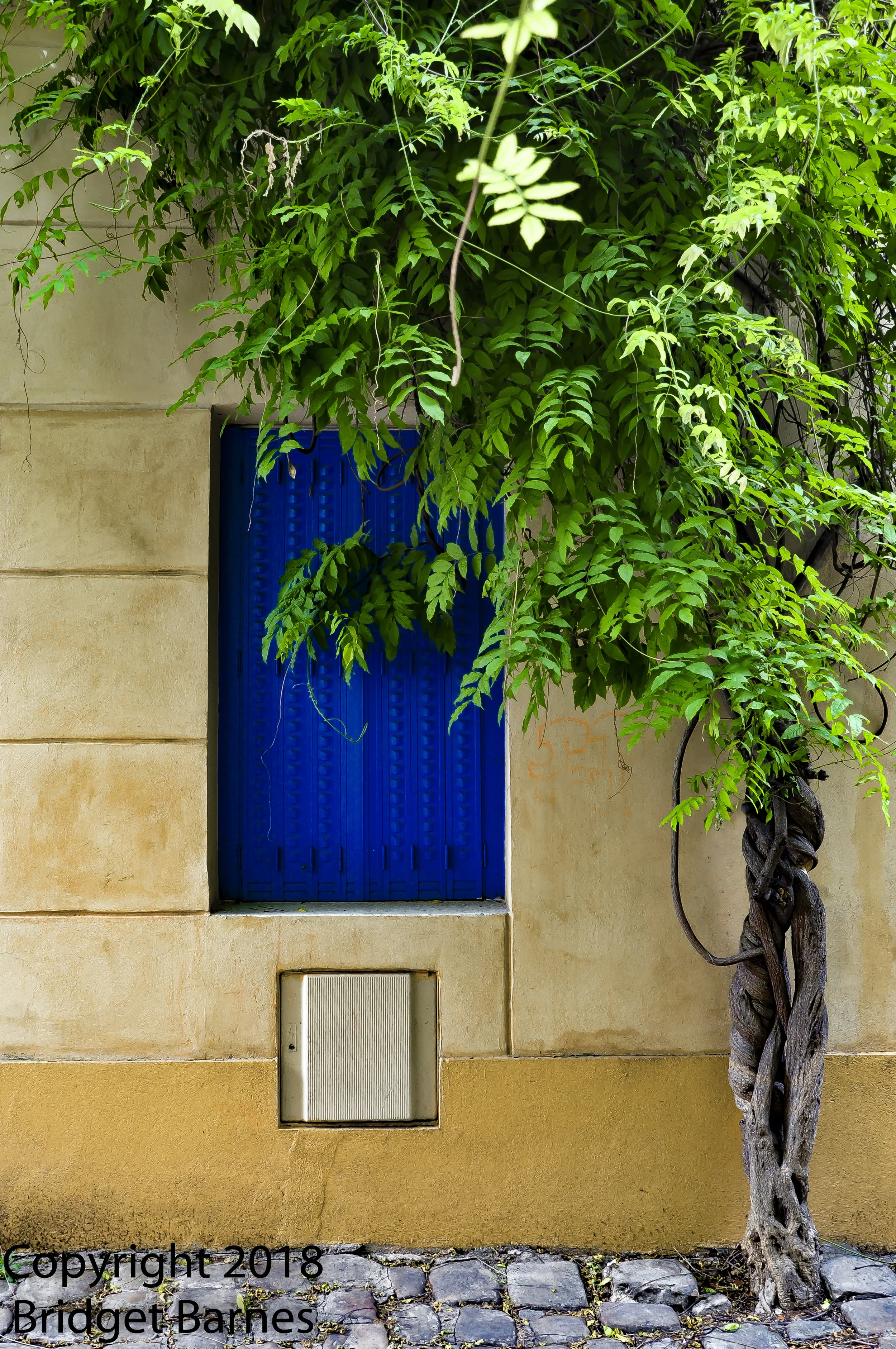 Thermo2Window-0439.jpg