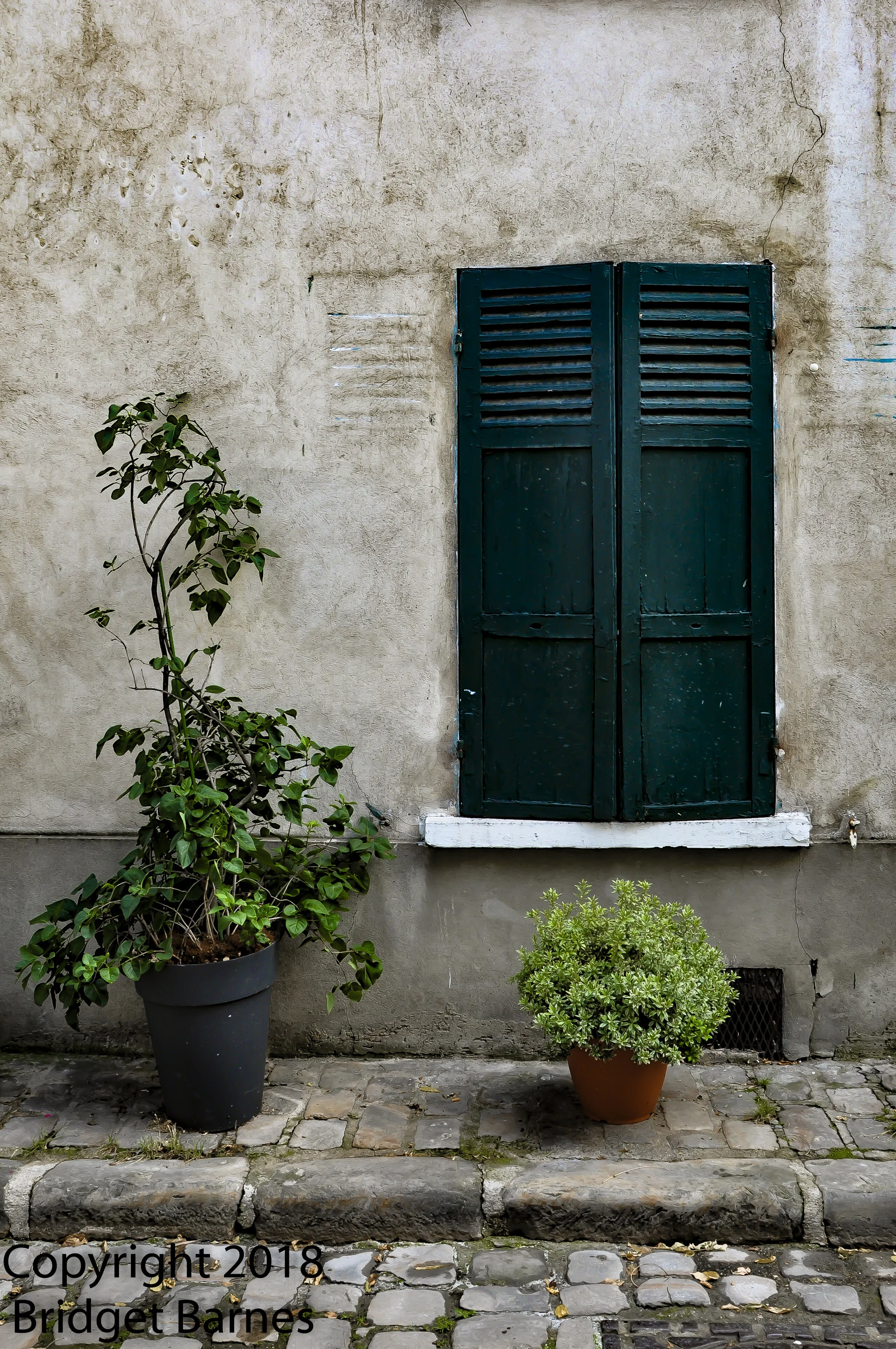 The colors and textures of the street are a treat!