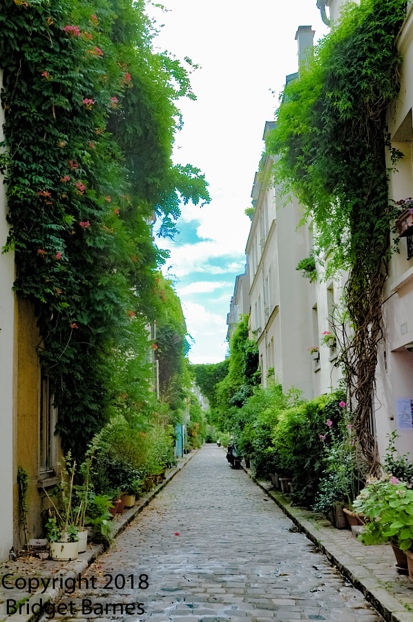 Paris's Sweet Secret Street