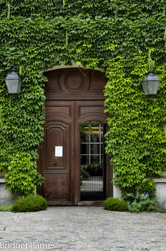 Carefully trained vines create an emerald oasis in the Marais.