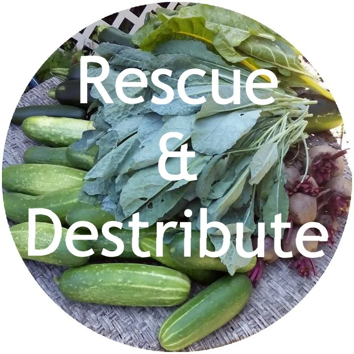 Each spring we build community gardens in working-class neighborhoods, teaching people to grow healthy food and creating more access. We are currently building a mobile kitchen so that we can share hot meals at community events and teach cooking classes.