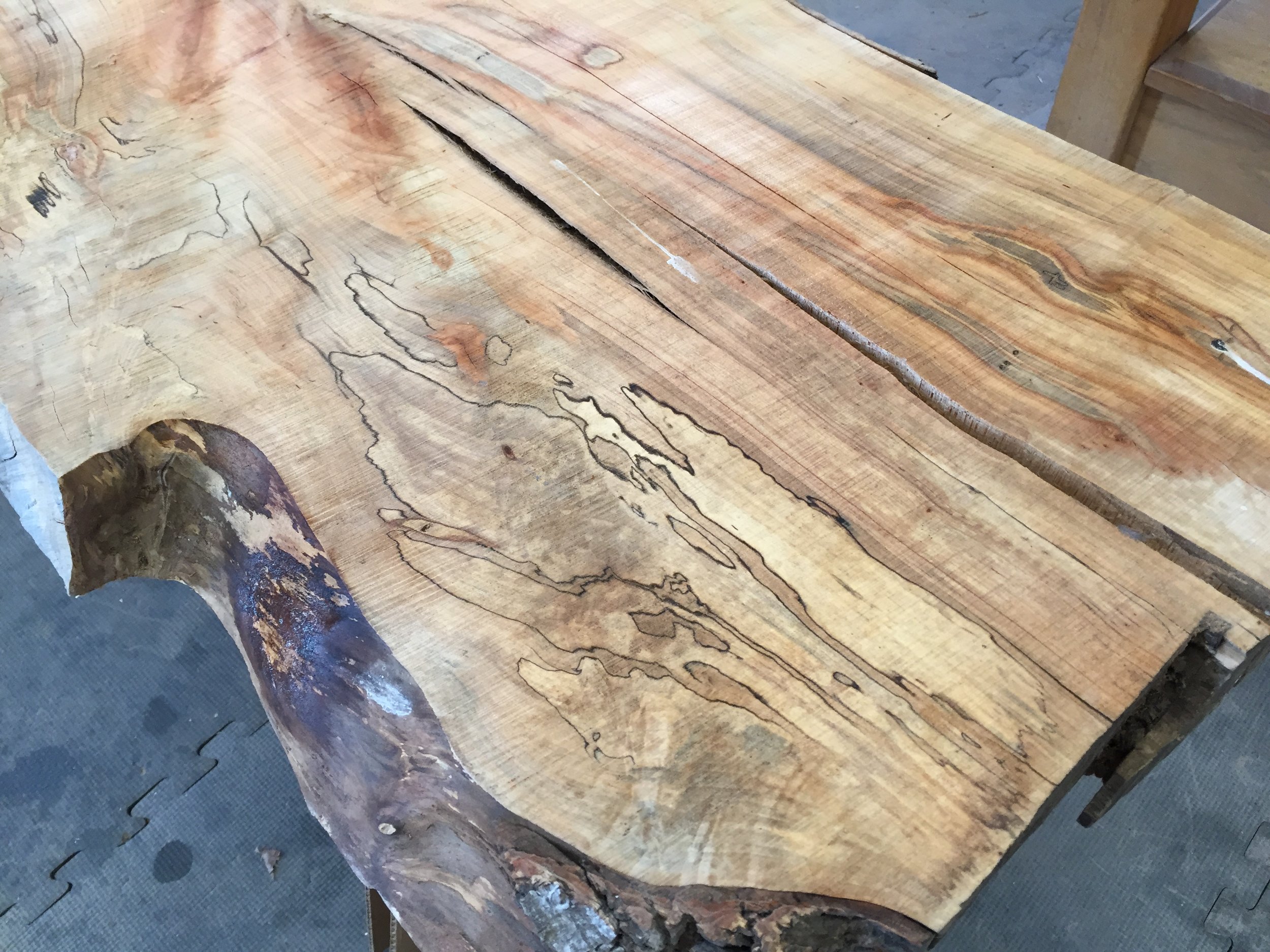 Bugs, spalting, cracks, and splits... . A word on Ghost Maple: Most people call this Ambrosia Maple (yuck), after the Ambrosia Beetle that makes those "ghost-like" markings. Some people go for Wormy Maple (no). Ghost Maple sounds best, so that's what we go with.