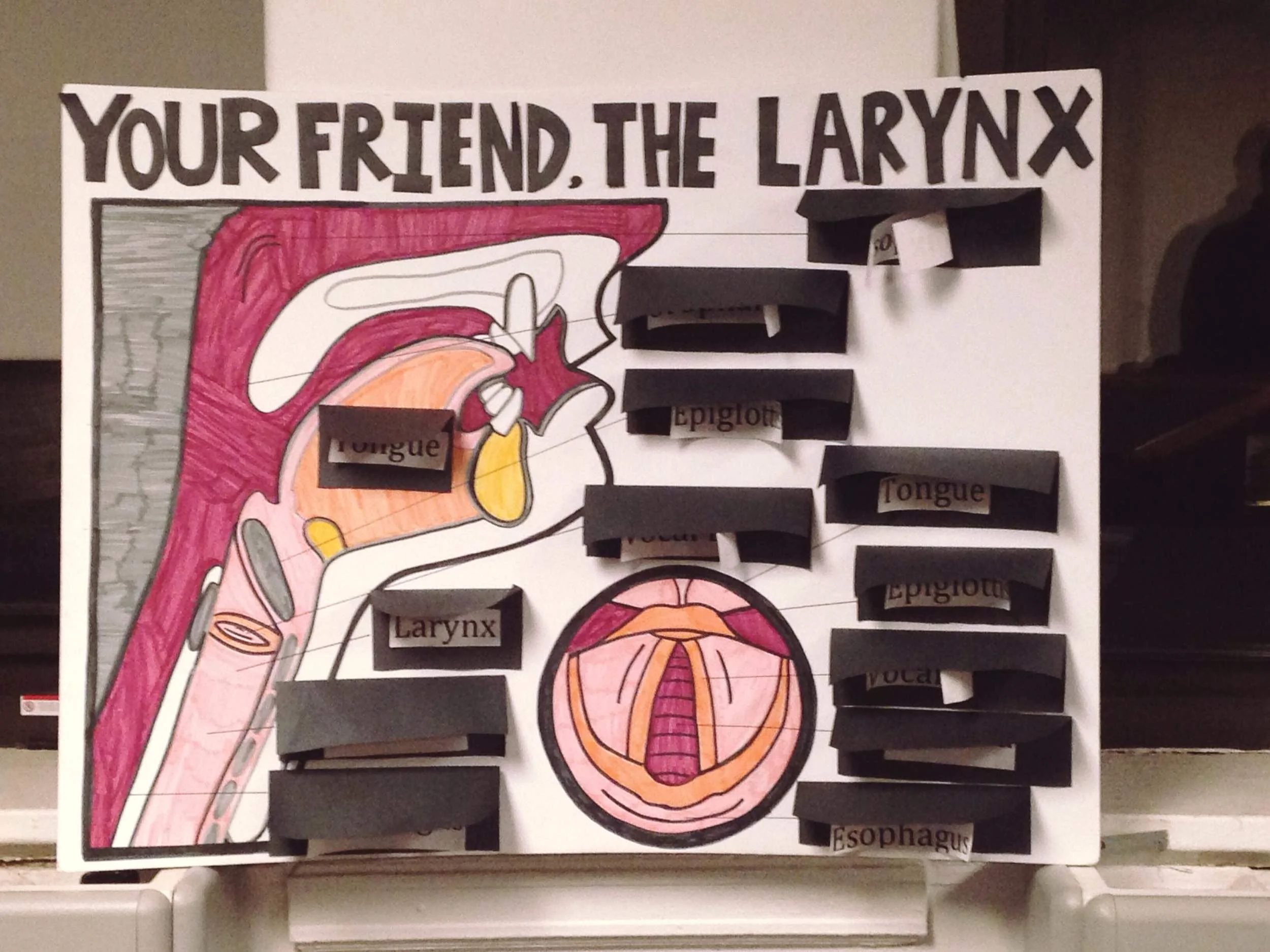A mystery poster that we found in our rehearsal space! We hope you and your larynx have a happy day!