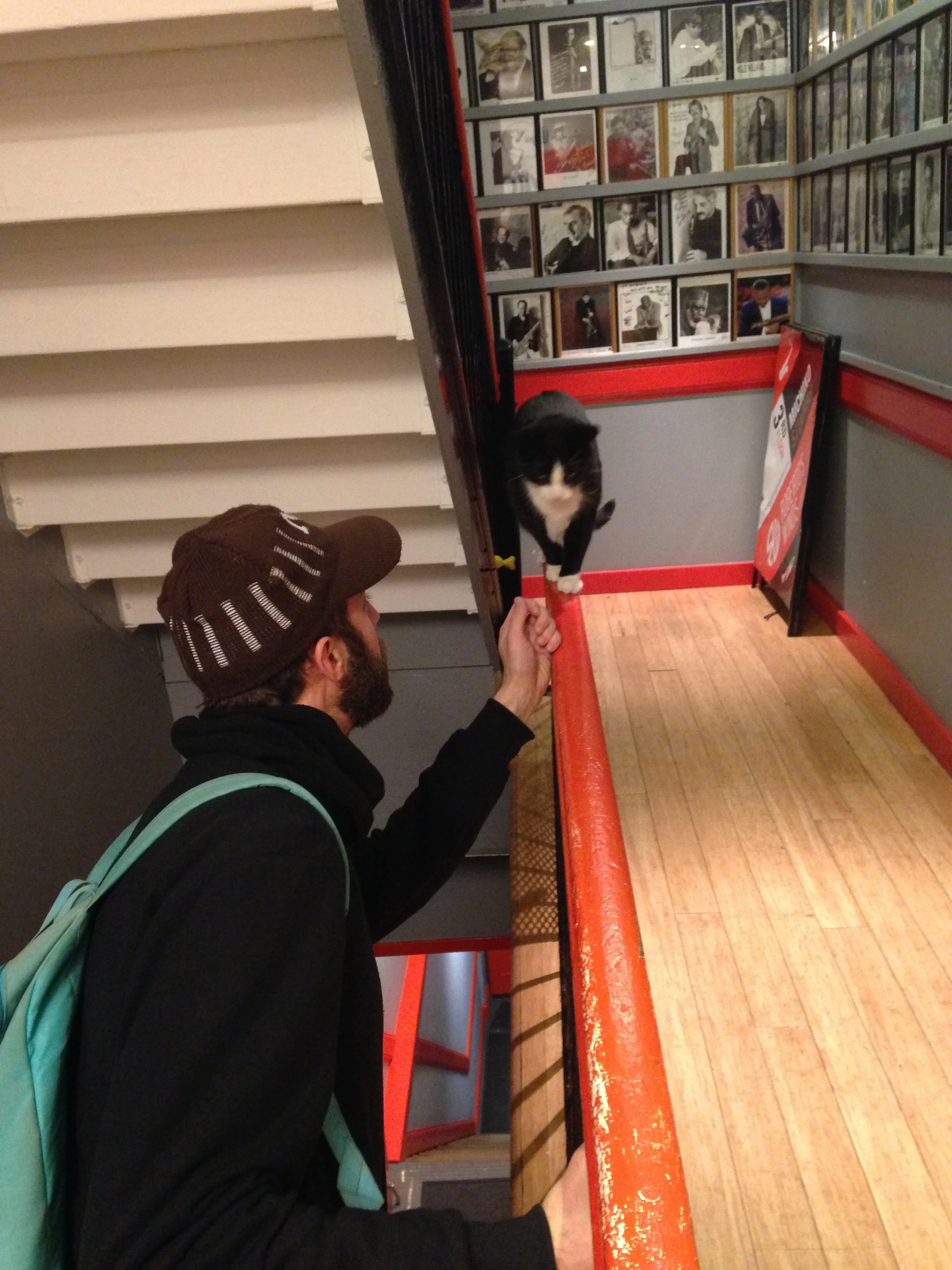 Special shout-out to Owen, who religiously reads our blog! Here he is trying to knock the Michiko Studios' cat off its balance beam. 