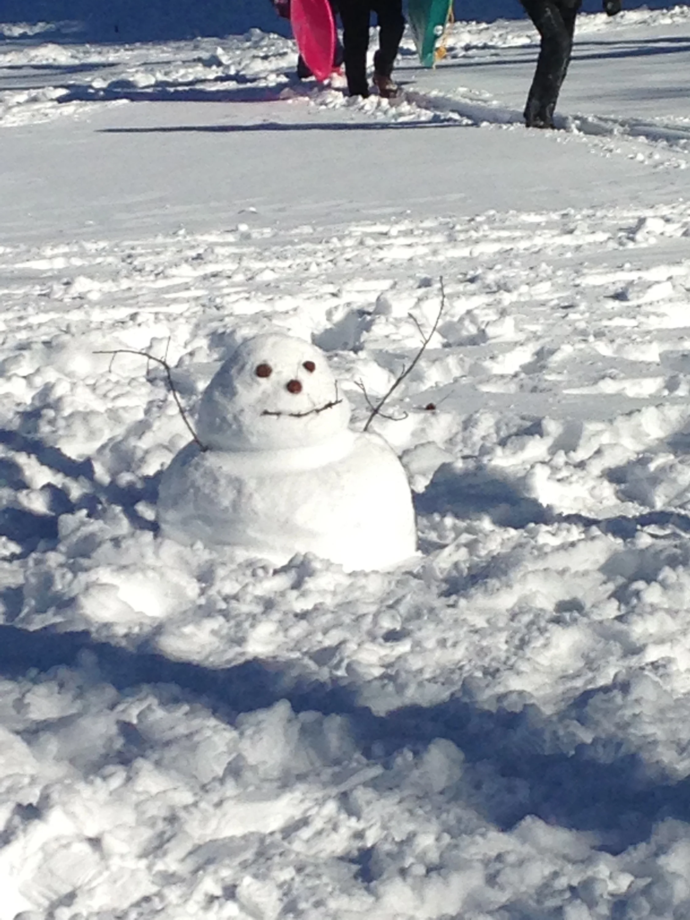 Funny short snowman I found in Inwood Hill Park the day after the blizzard. 