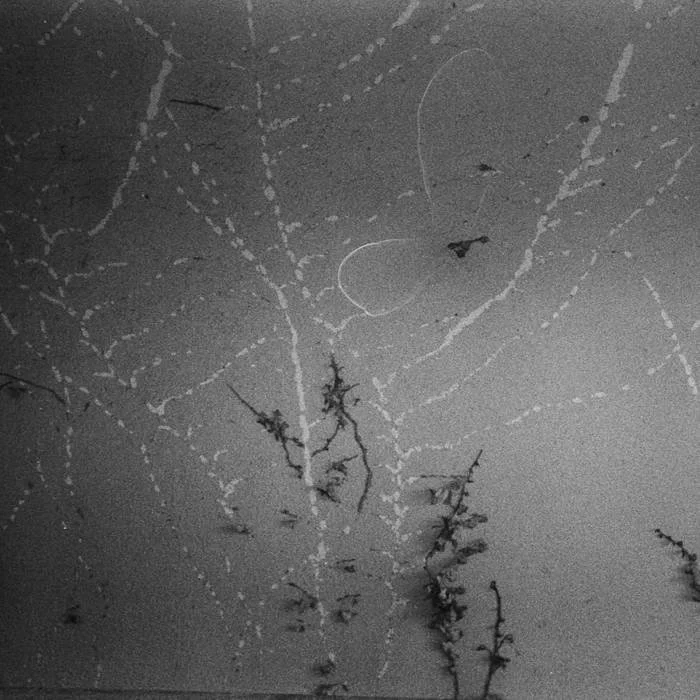 Zeynep Toraman // a lifetime of annotations