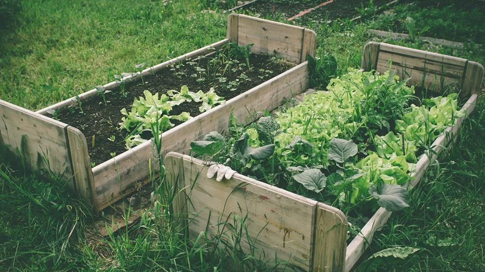 New use to old beds