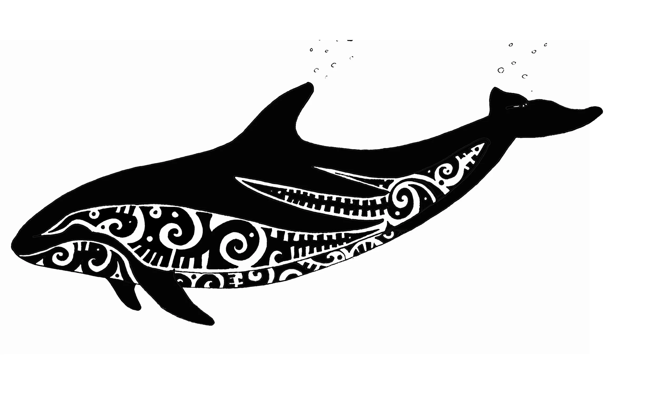 whale scanned and beautified.jpg
