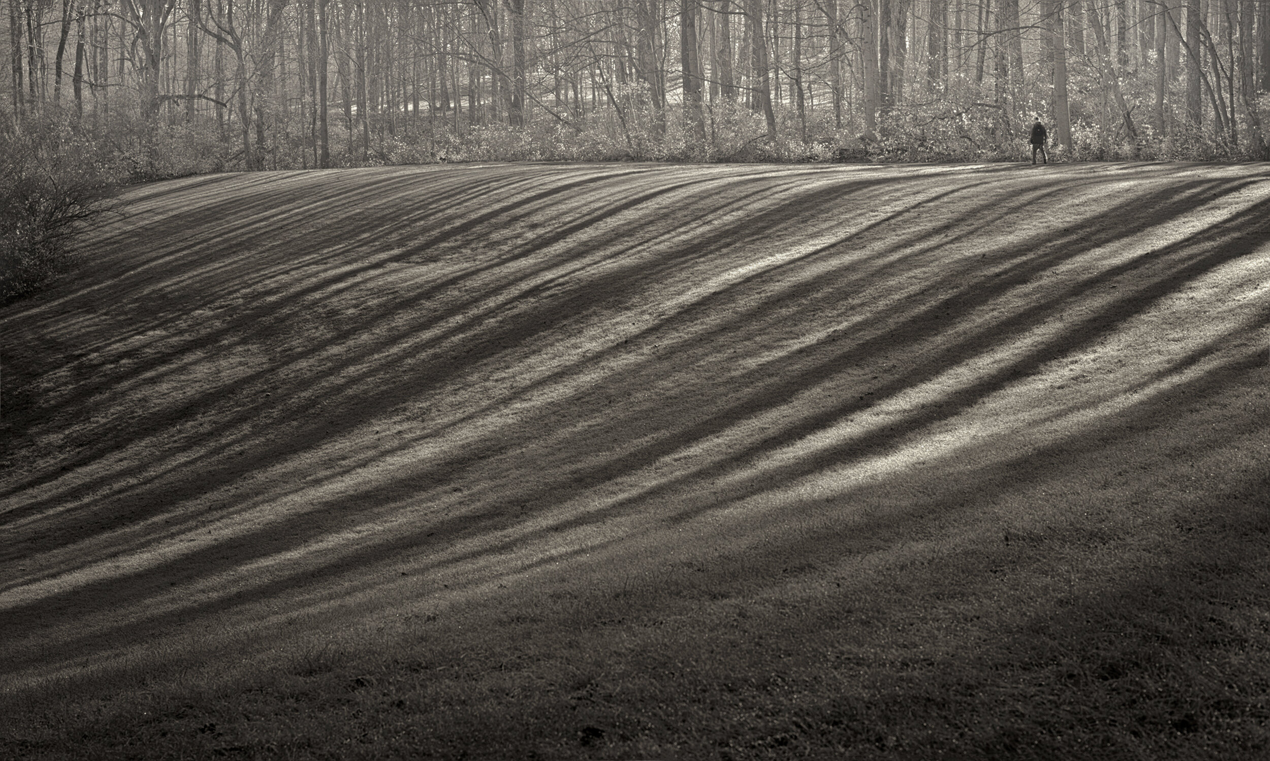  Charles_Yang_S_T_B&amp;W_An Early Winter Journey 