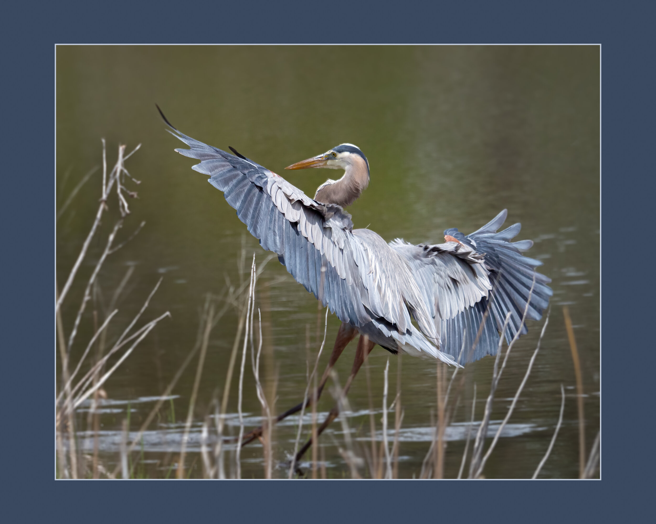  Coming In For A Landing-Sandra Stawiasz 