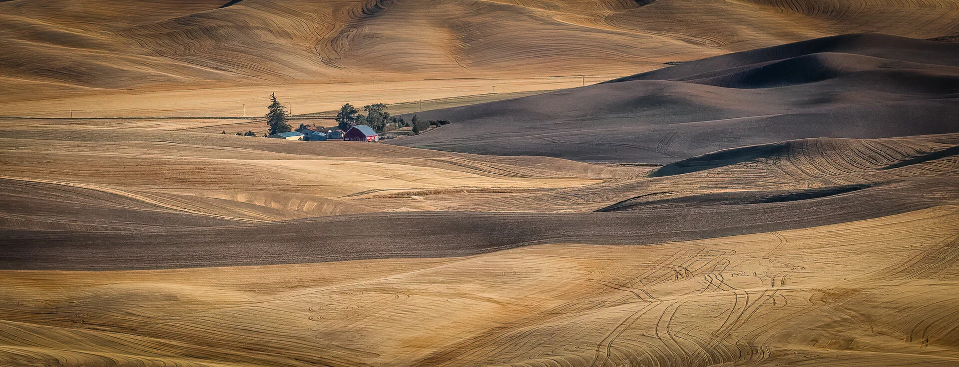  Isolated Farm-Michael Jack First in Professional Color Winner of “Best of Show” and ACI Top Print 