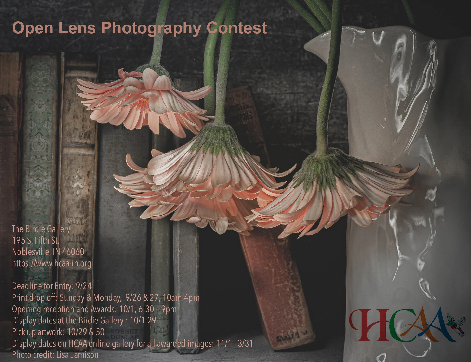 2021 Open Lens Photography Exhibit And Competition