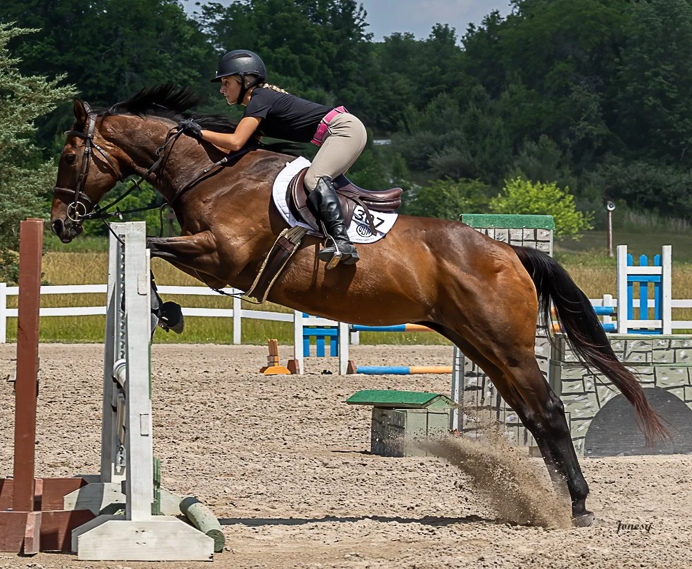 Field Trip: H &amp;H Stables At Wild Air Farms
