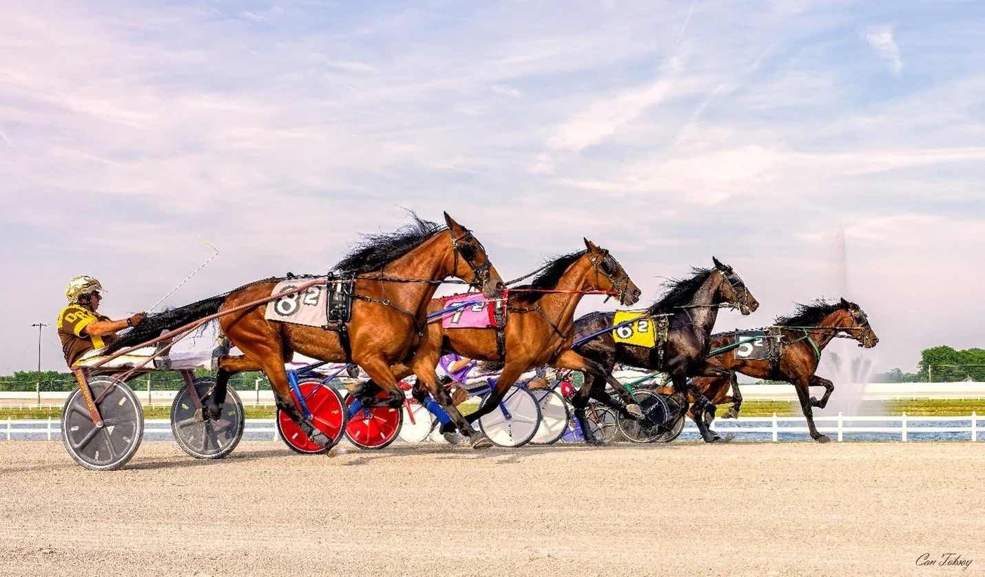 FIELD TRIP: HARRAH’S HOOSIER PARK HARNESS RACING