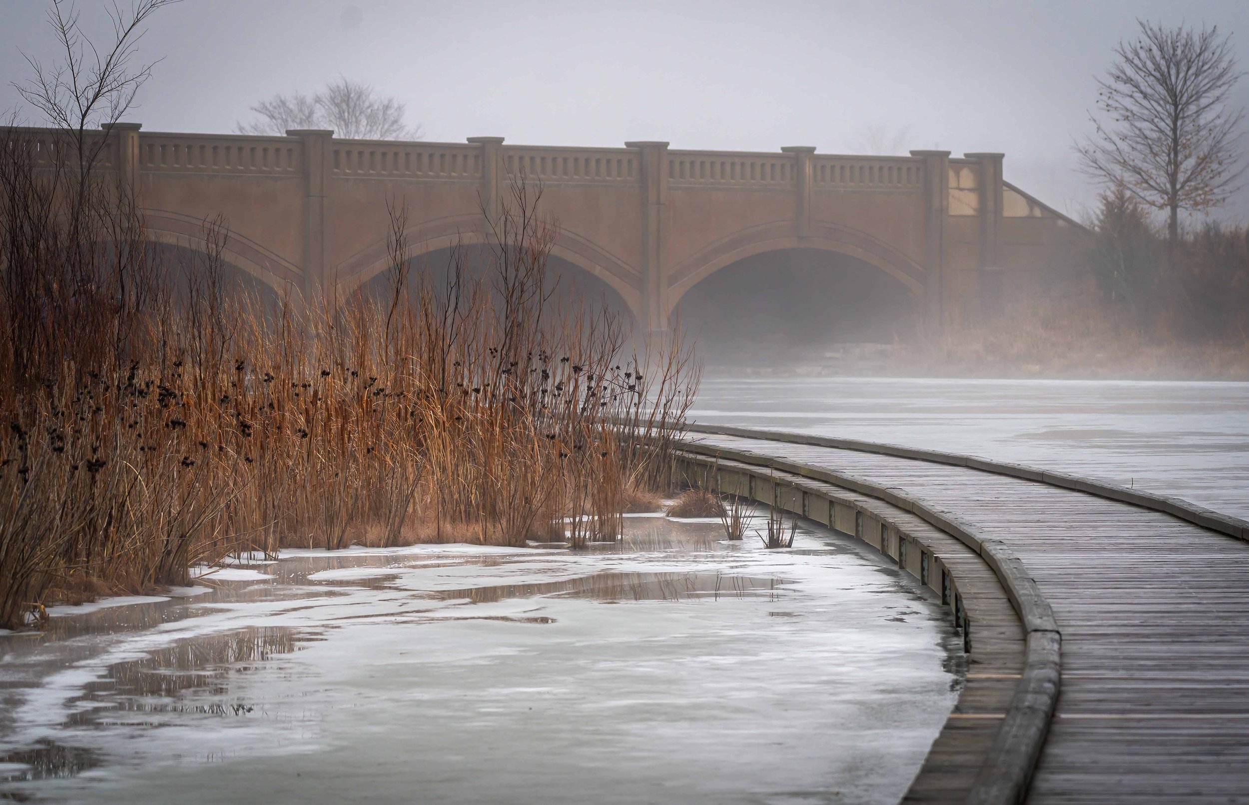  Joe_Phillips_S_O_C_Boardwalk&amp;BridgeOnAFoggyMorn 