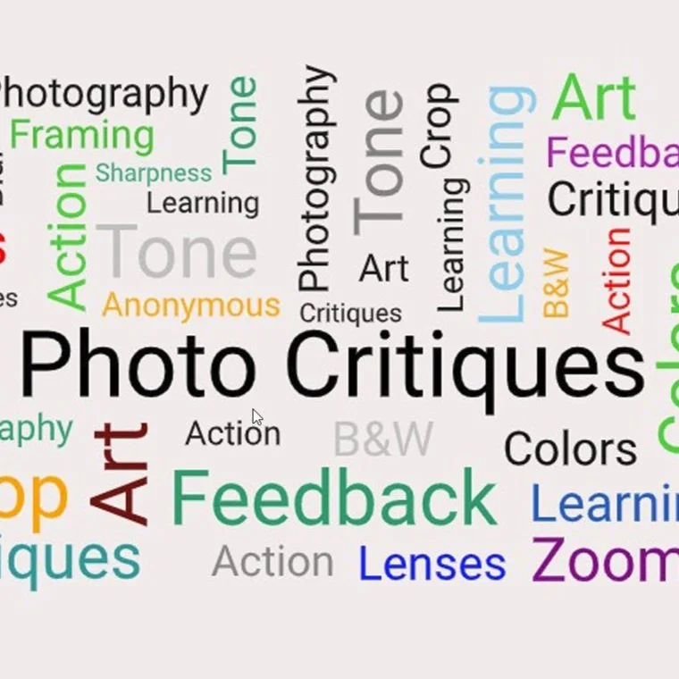 Update on the PVCC Photo Critiques Facebook Group