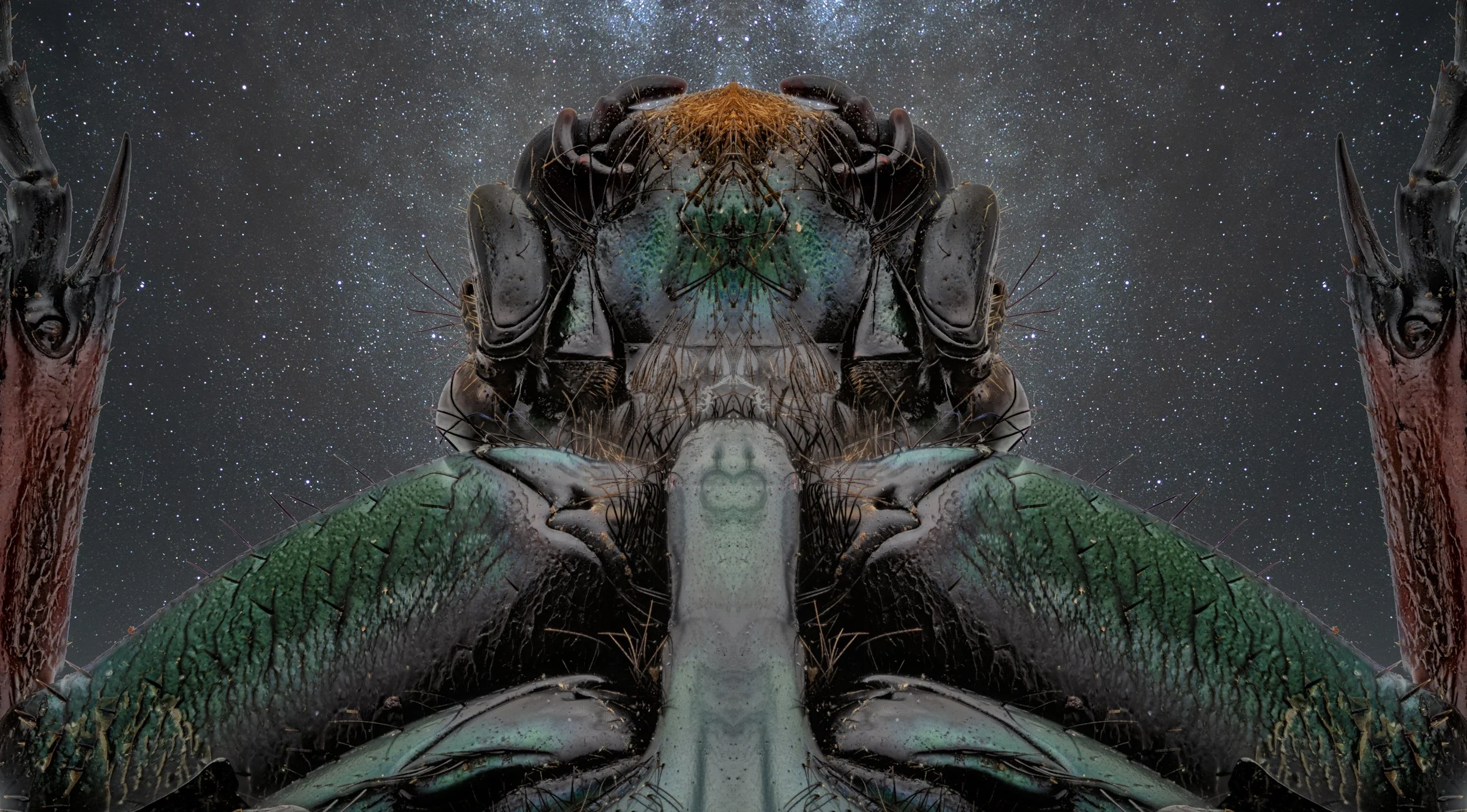  John Toksoy Exogenesis 