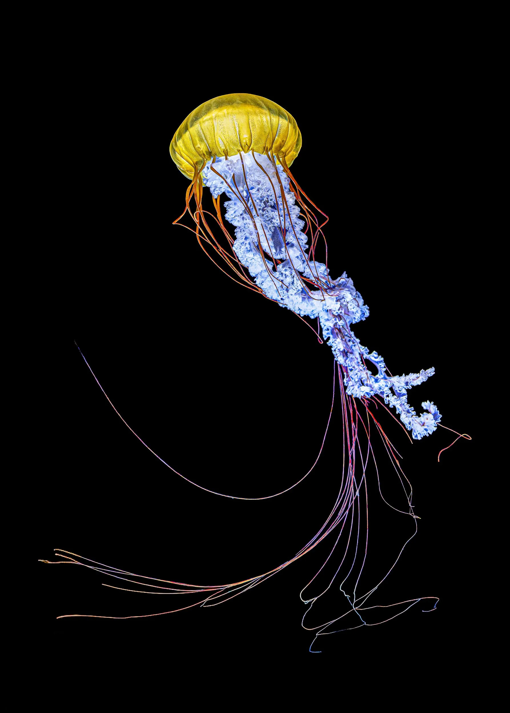  John Toksoy_When Light Learn to Swim 