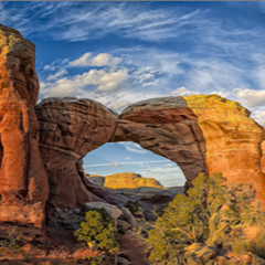 Can Toksoy - "Using Color Separation in Editing"