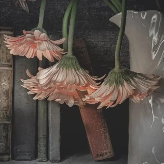 Creating Imaginative Still Life Images: Lisa Bell Jamison