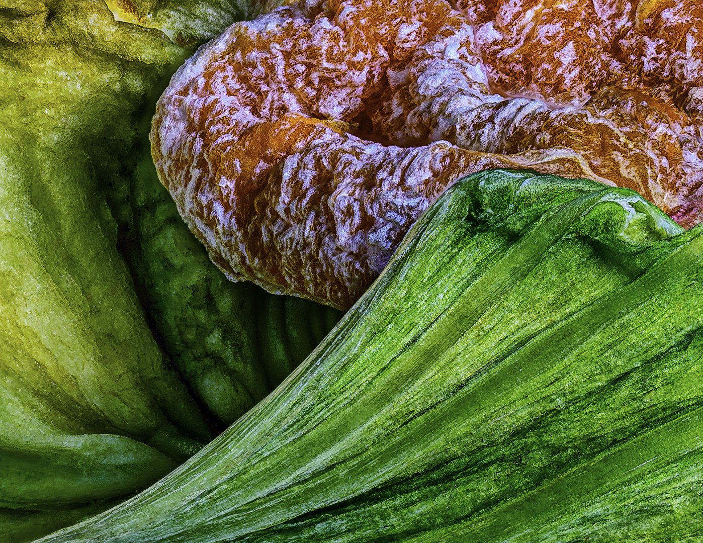 John Toksoy_T_Color_Feast of Color.jpg