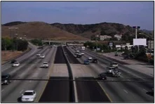 Freeways are among the major threats to wildlife populations.