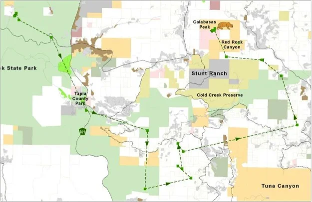 A map of the dispersal of P08. He went east, settling into Topanga State Park and nearby areas including Tuna Canyon.