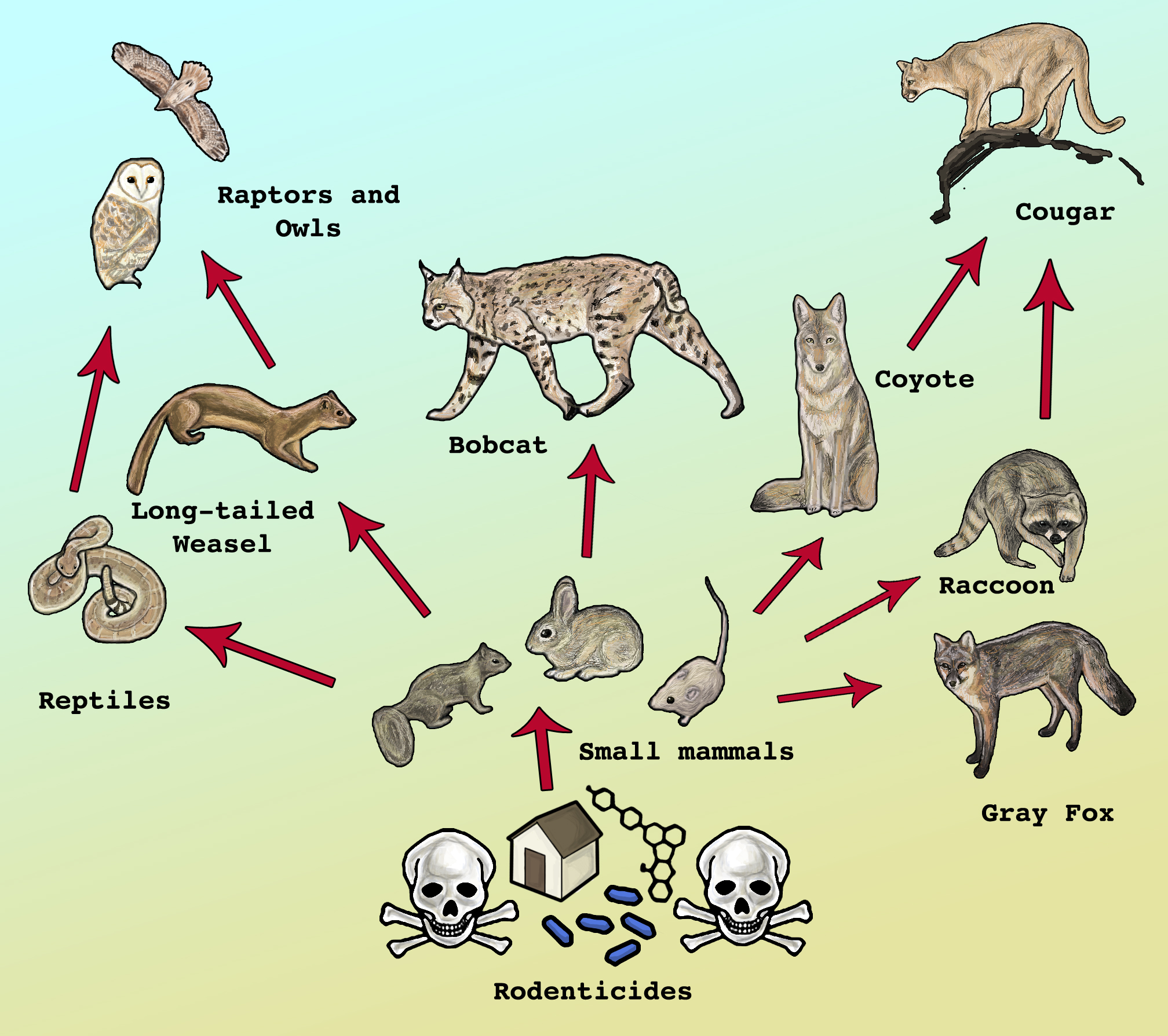 Poisons — Urban Carnivores