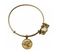 Team USA Skiing Charm Bangle , Price: $32.00 http://www.alexandani.com/collections/olympics/team-usa-charm-bangle.html