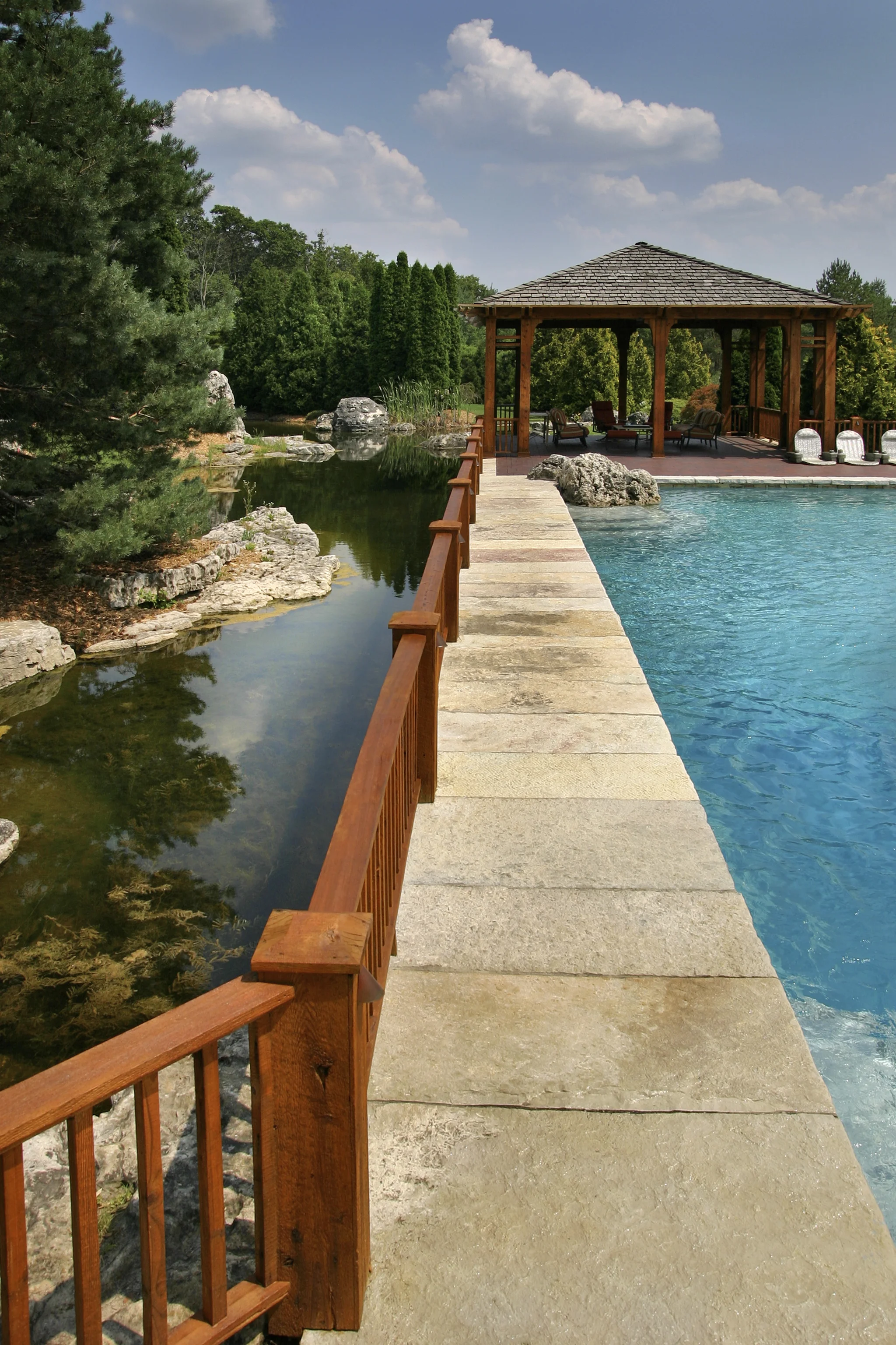 IMG_6006_3 GD Tw.jpg