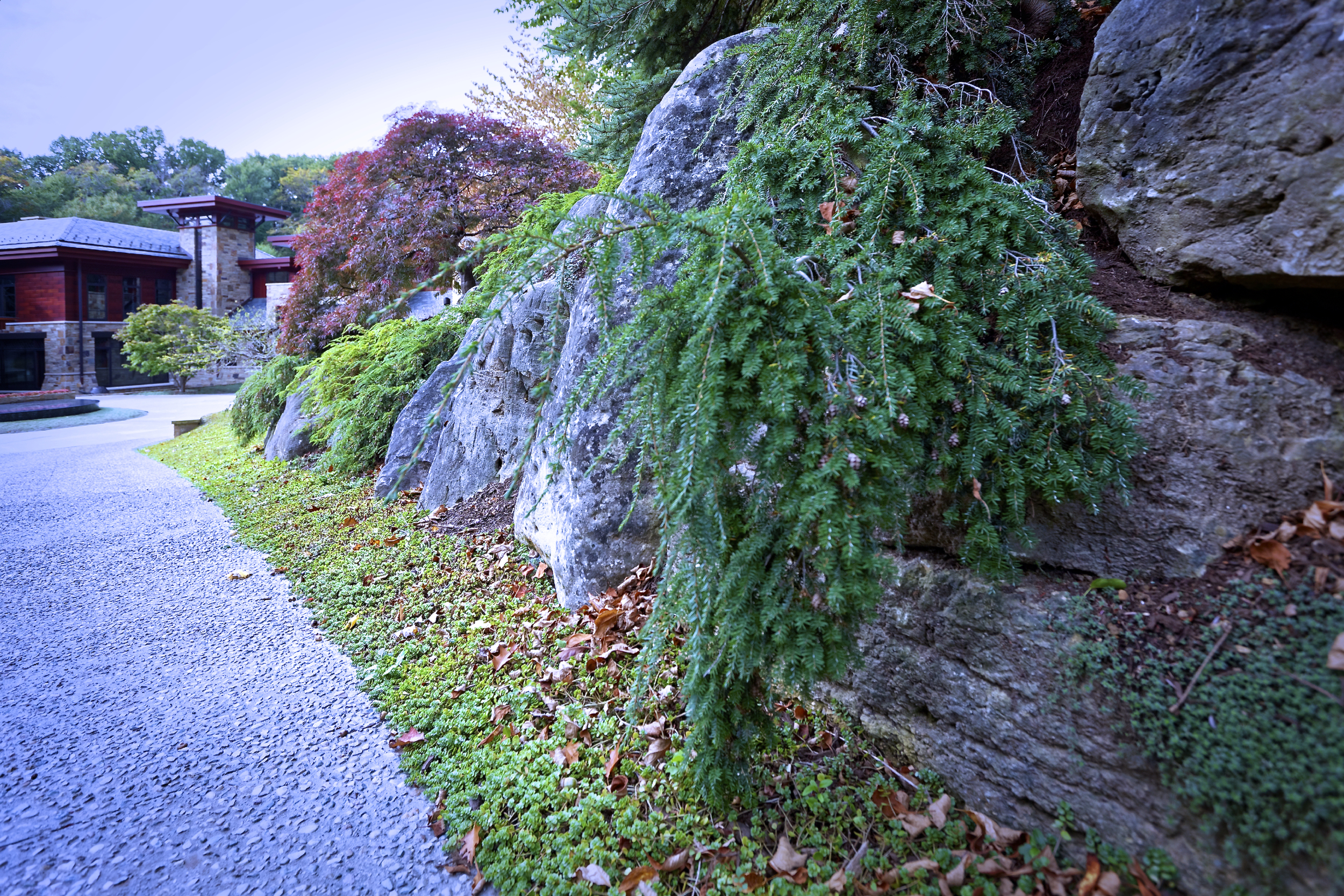_MG_3921_DxO.jpg