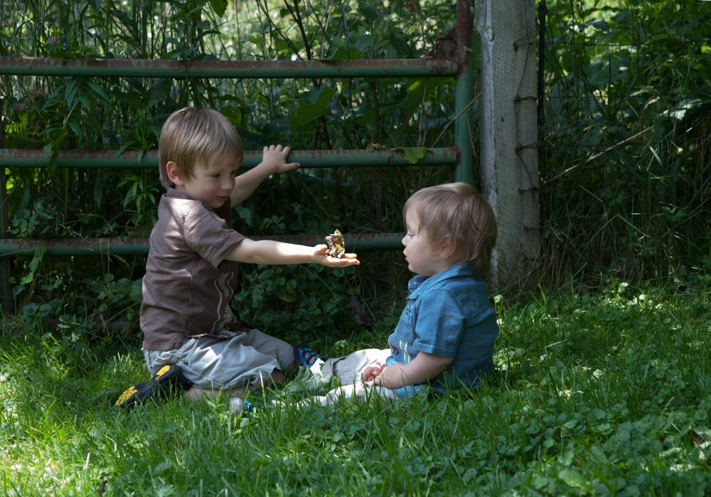 r34590_1000px.jpg