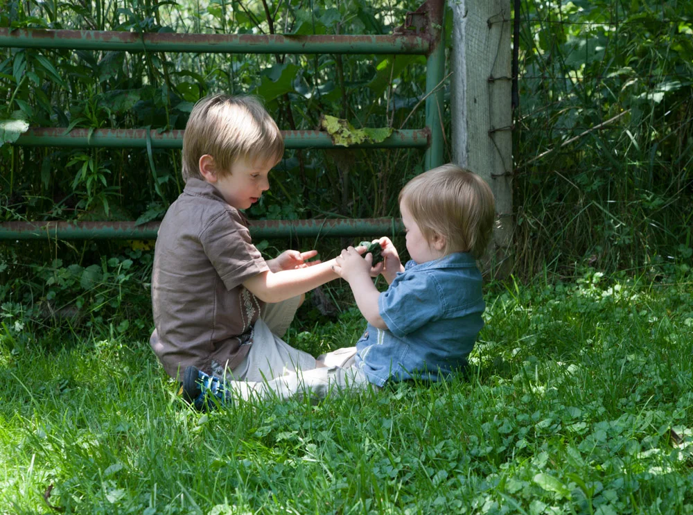 r34584_1000px.jpg