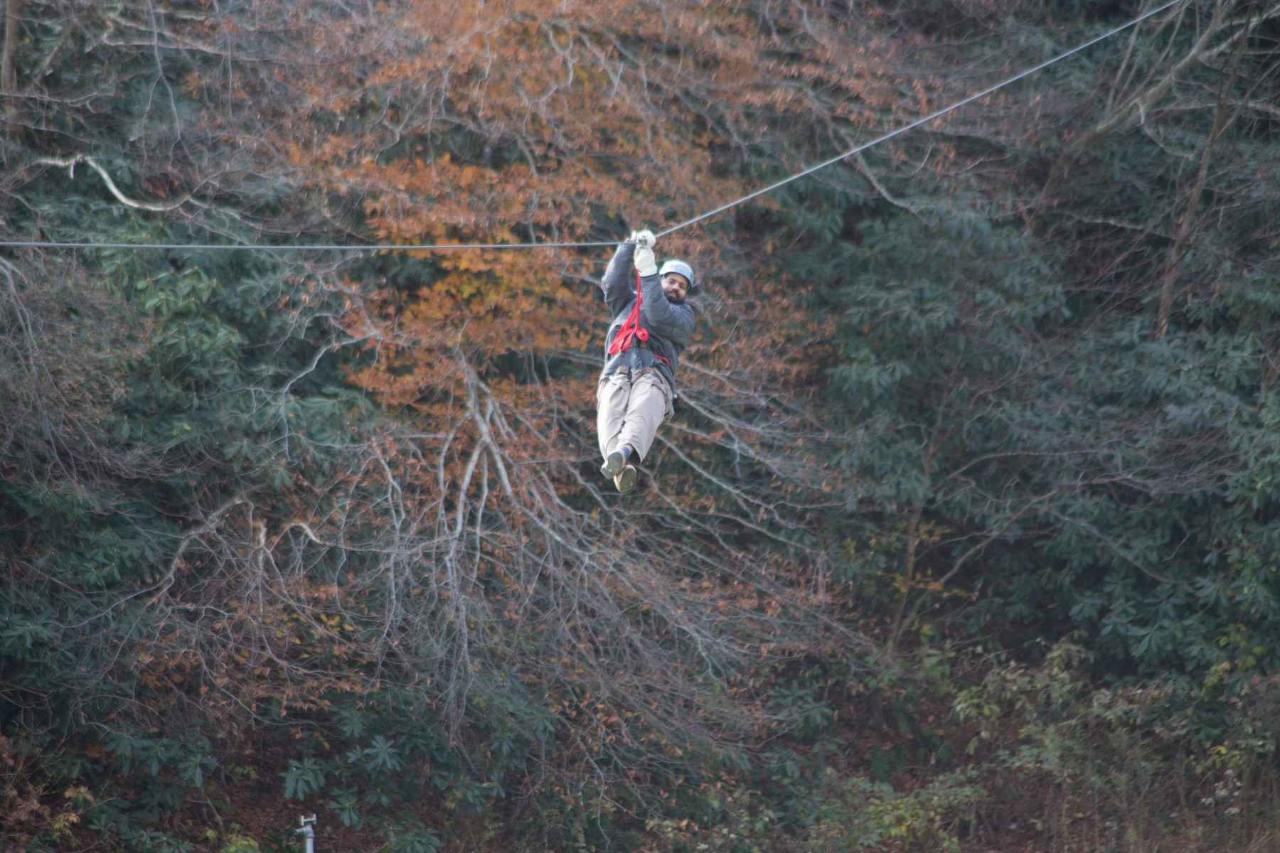 R44684_1800px.jpg