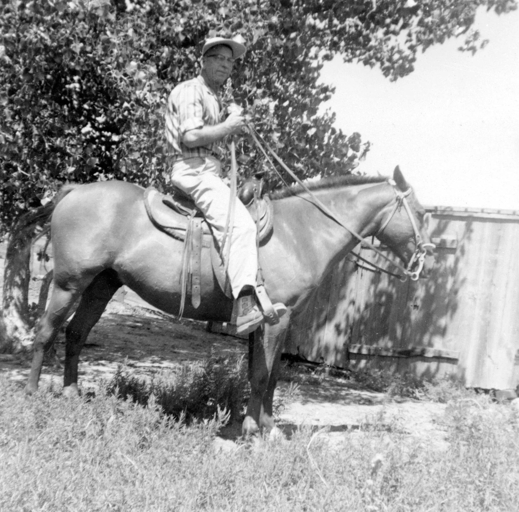 Archie Eastham on Chico, 8/23/1950