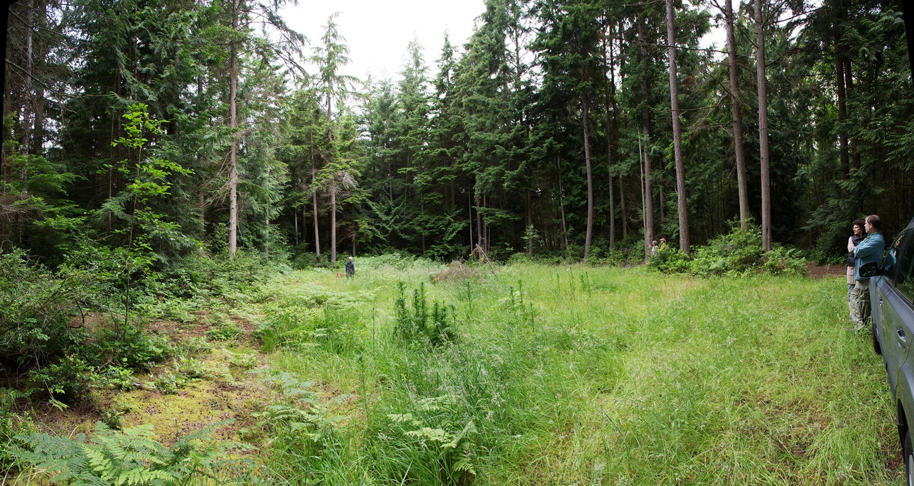 R64562_Panorama_1800px.jpg