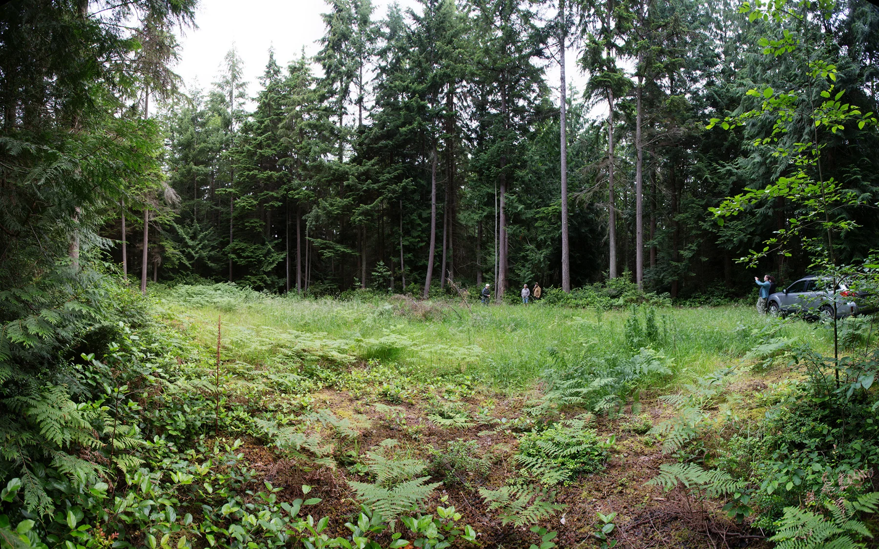 R64566_Pano_1800px.jpg