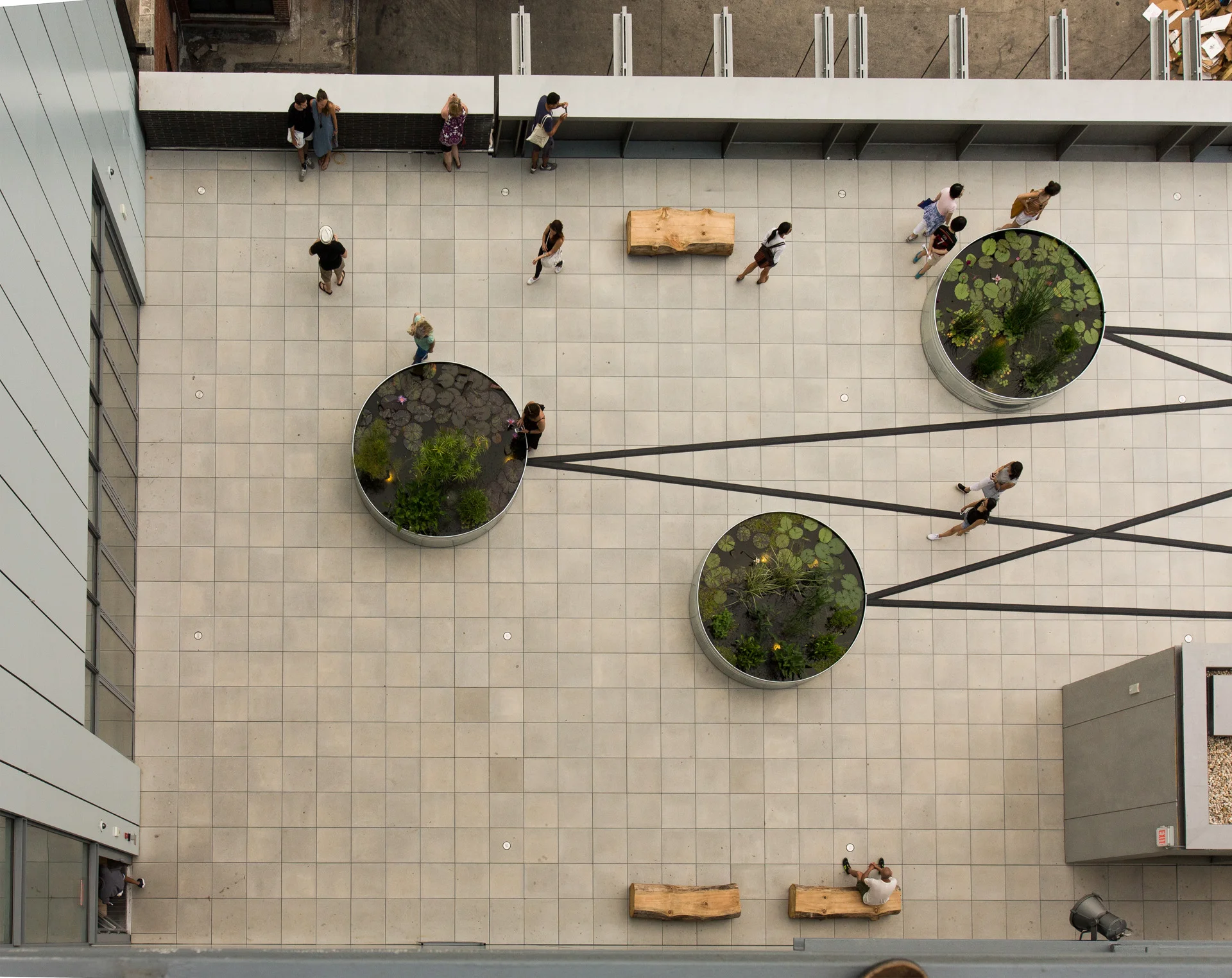 The New Whitney