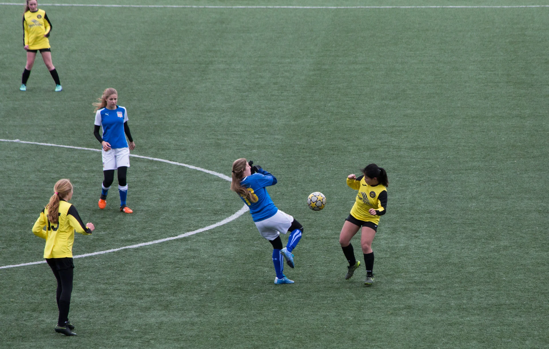 R67872_1920px.jpg