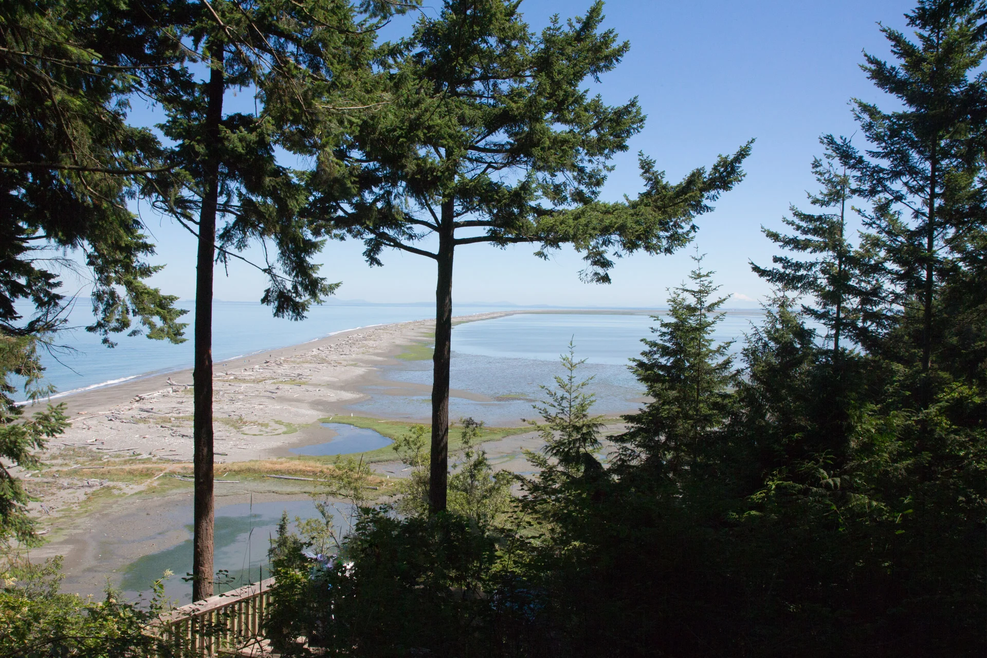 Dungeness Spit - Sequim, Olympic Peninsula