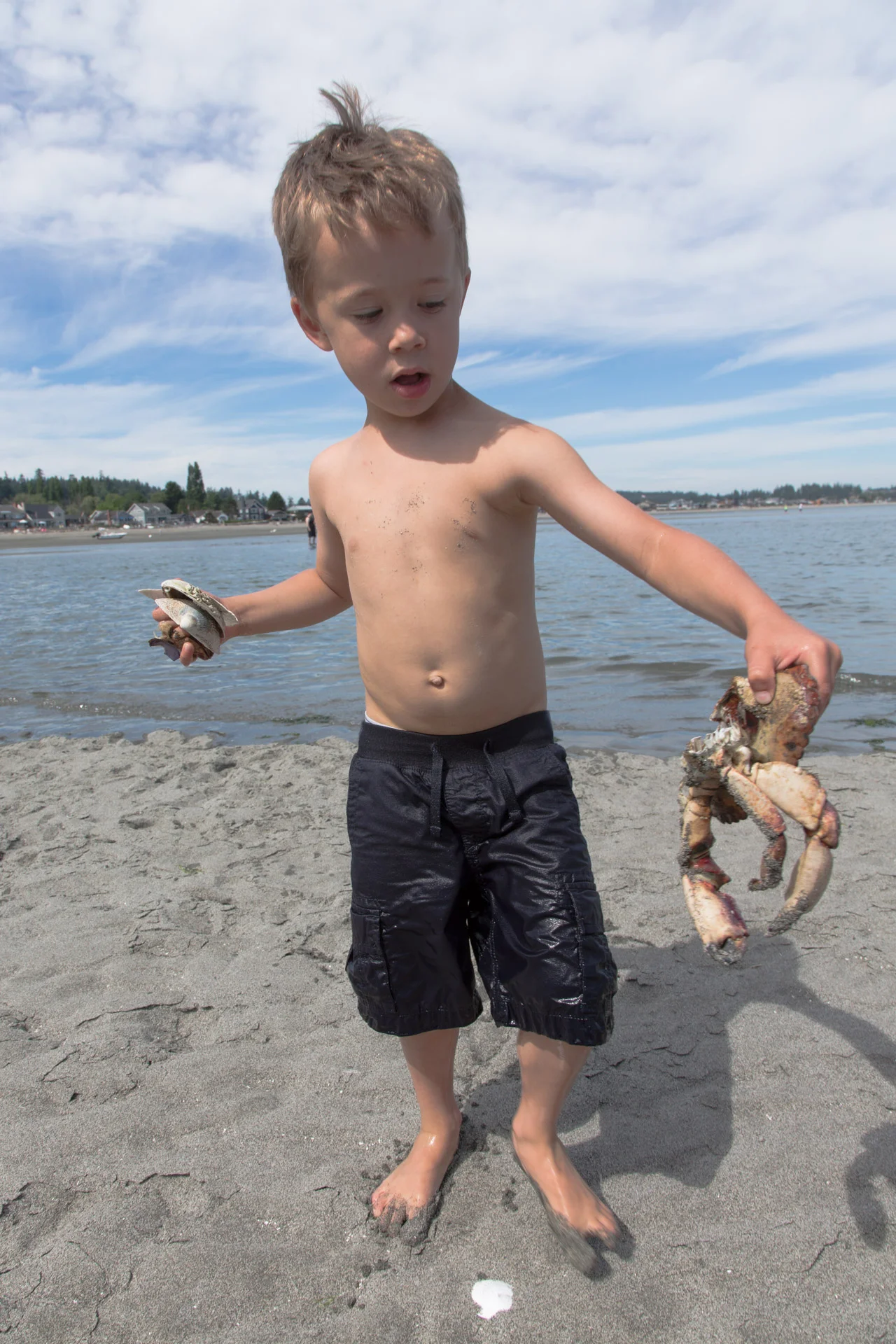 Double Bluff Beach - Whidbey Island