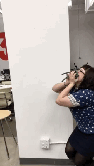 1.gif