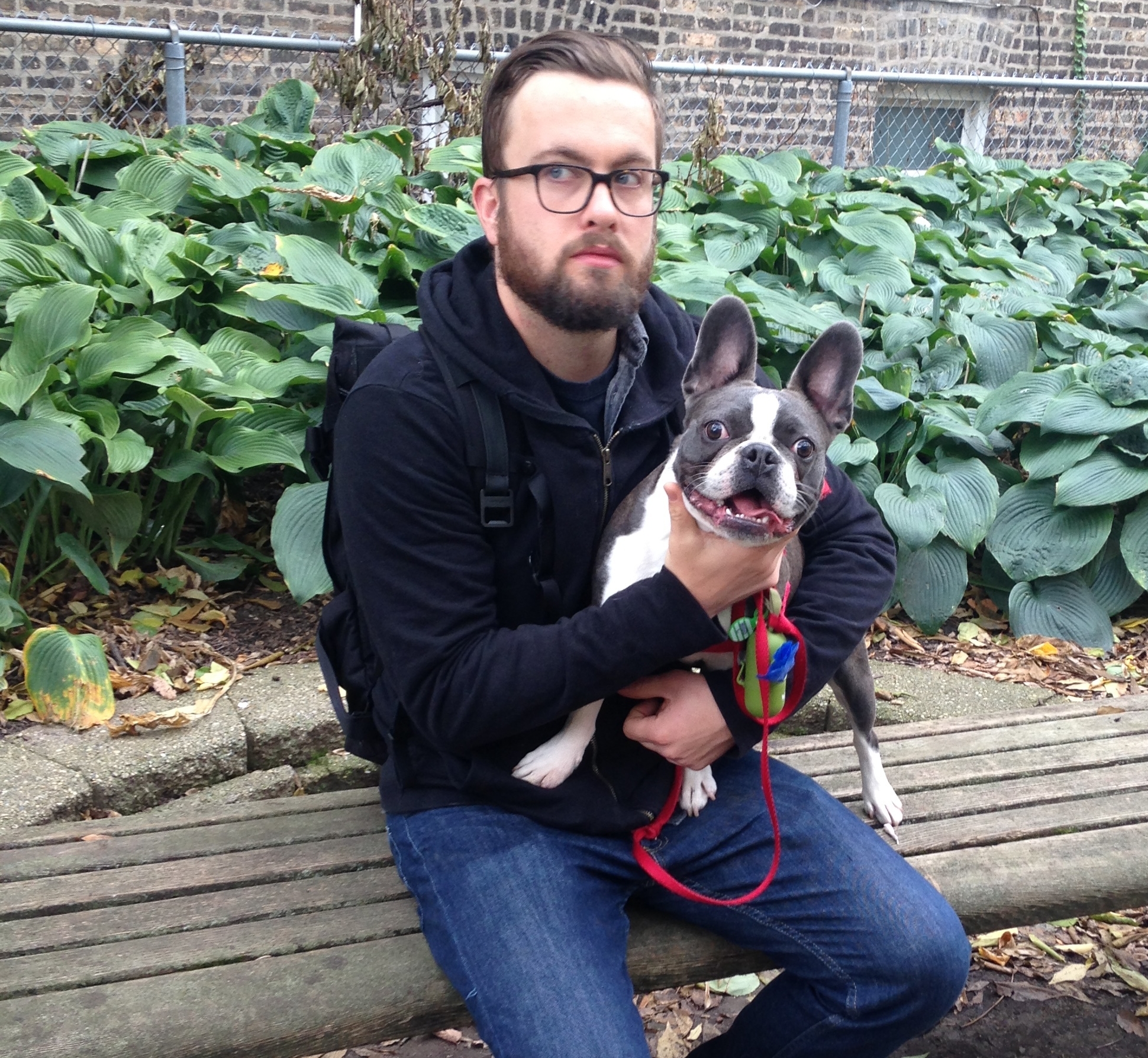 Hugo, looking directly at the camera like a good boy while his errant walker gazes into the distance.