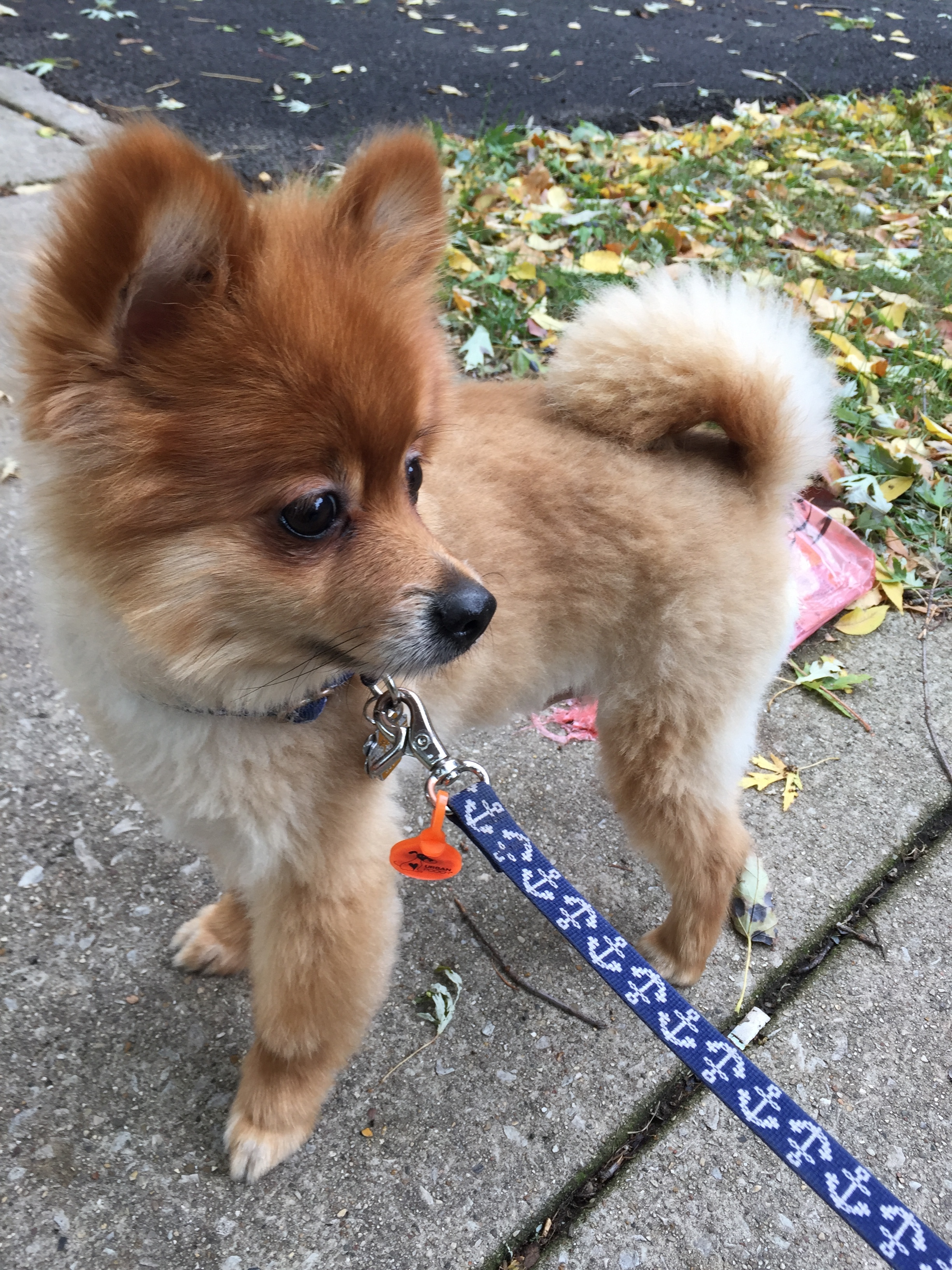 Cooper, showing off his good side.