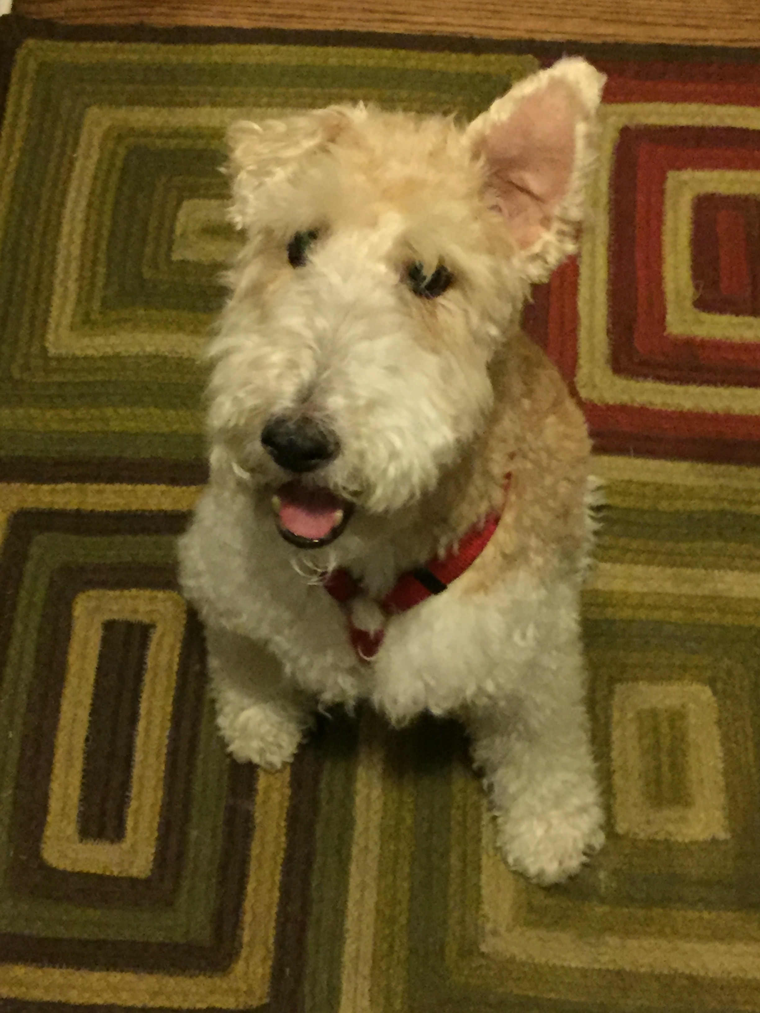 Captain, the consumate host, greeting me at the door.