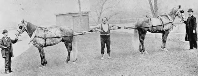 Walking Rocky and Ripley is a tremendous workout.