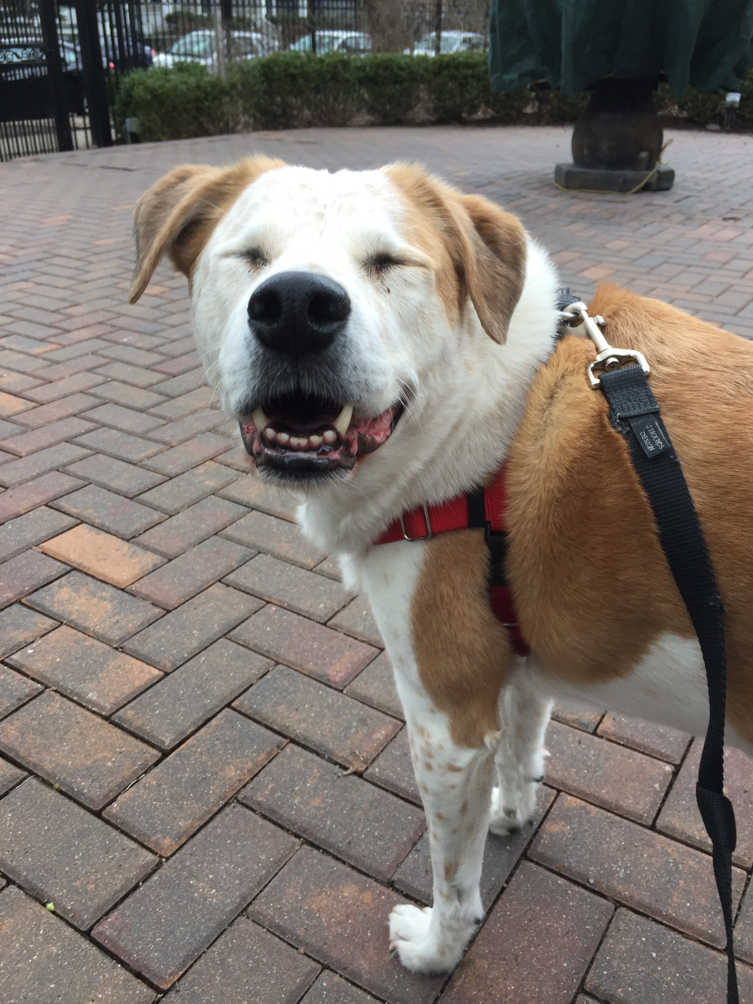 How could you not be abjectly terrified of this face?